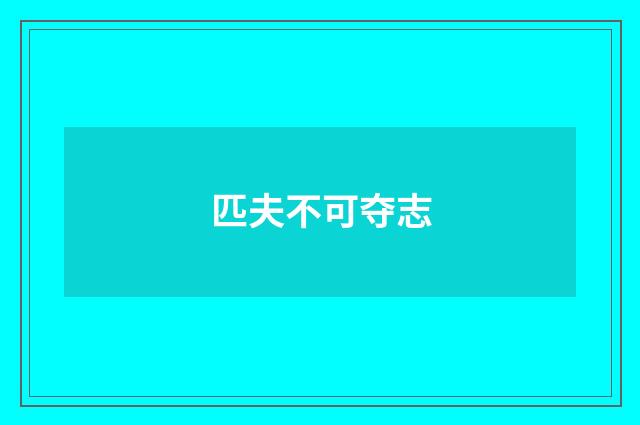 匹夫不可夺志