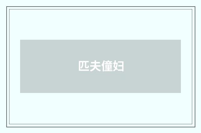 匹夫僮妇
