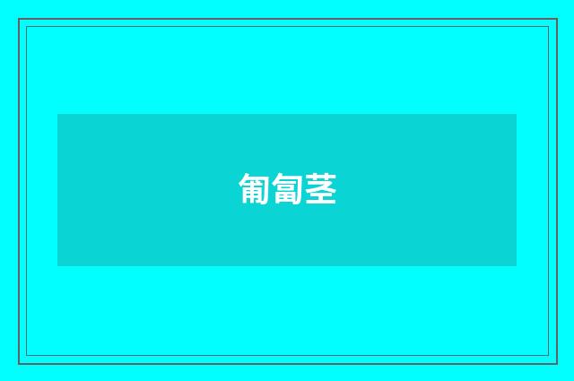 匍匐茎