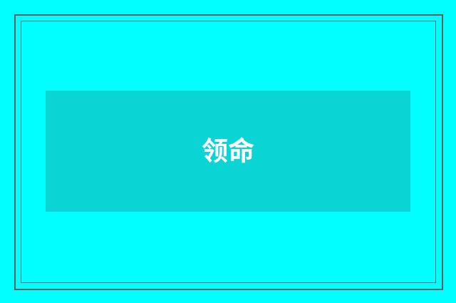 领命