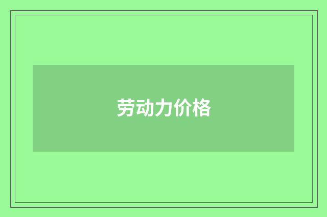 劳动力价格
