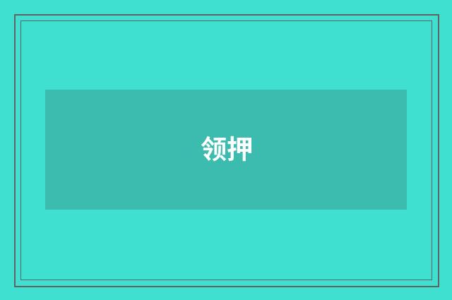 领押