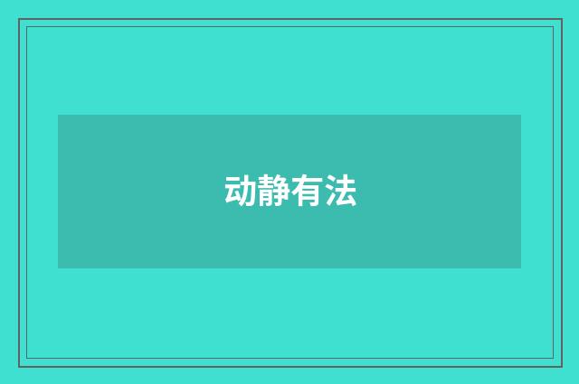 动静有法