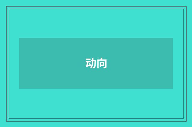 动向