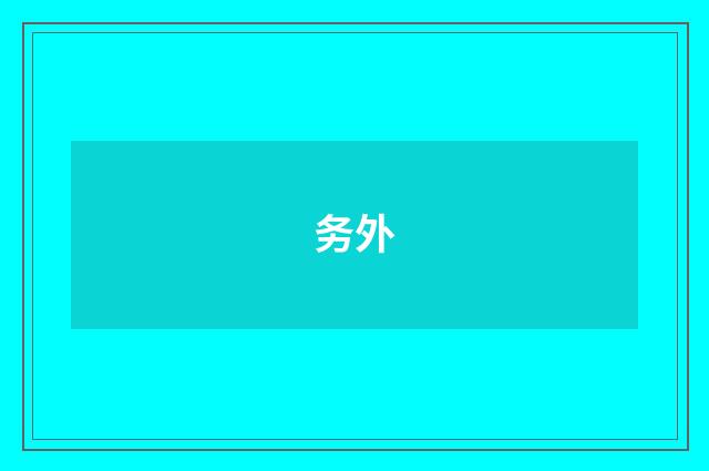 务外