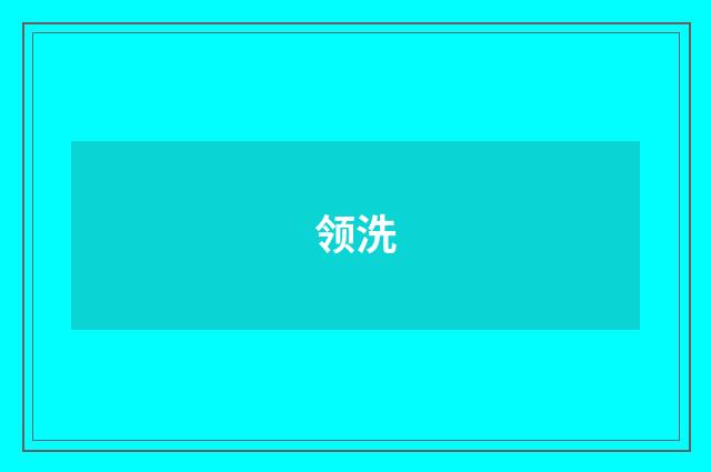 领洗