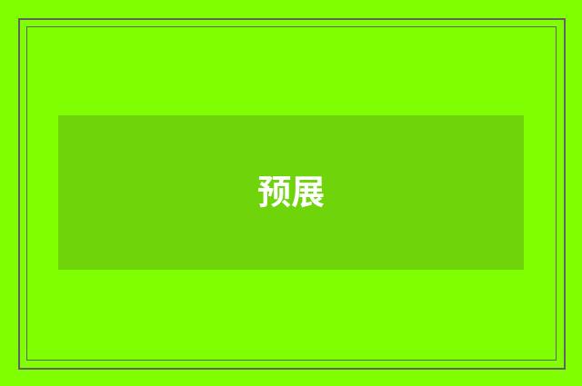 预展