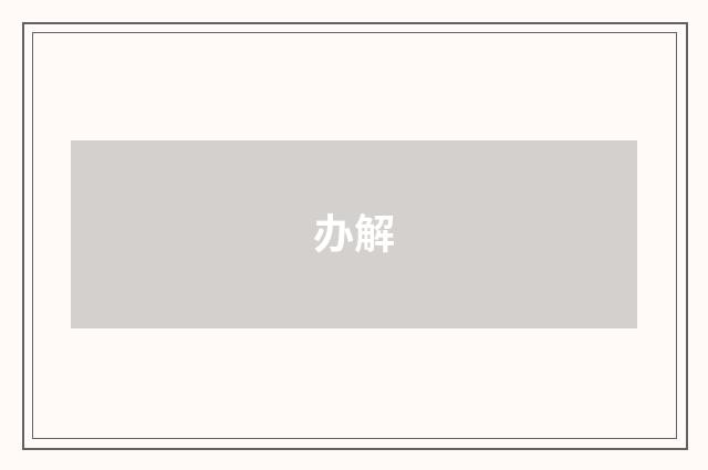 办解