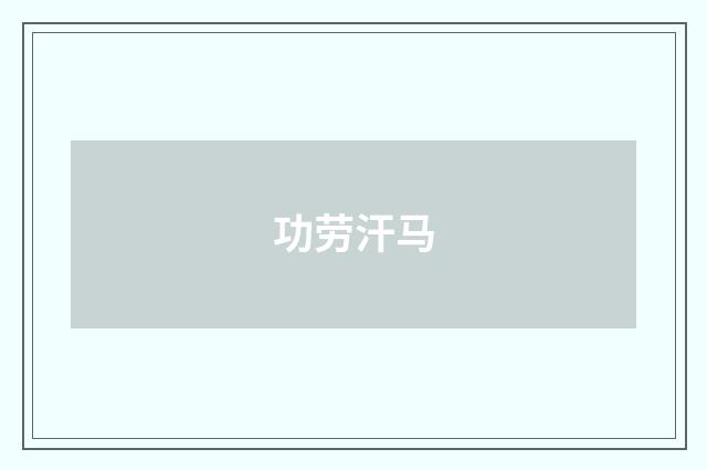 功劳汗马