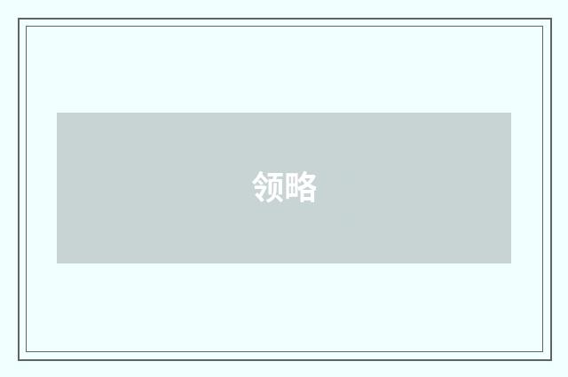 领略