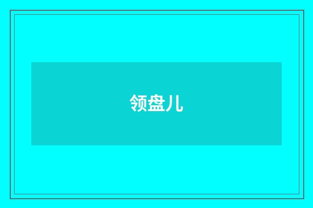 领盘儿