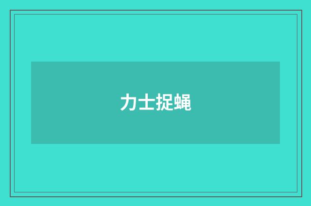 力士捉蝇