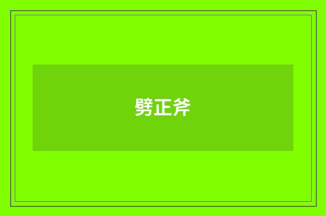 劈正斧
