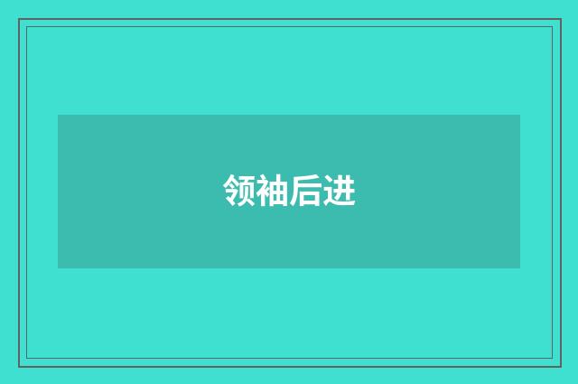 领袖后进