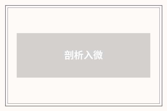 剖析入微