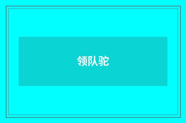 领队驼