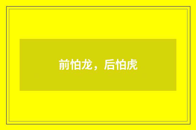 前怕龙，后怕虎