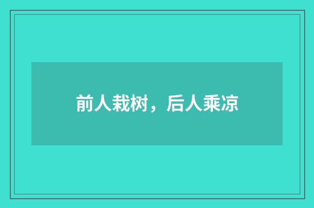 前人栽树，后人乘凉