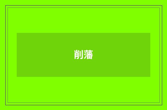 削藩