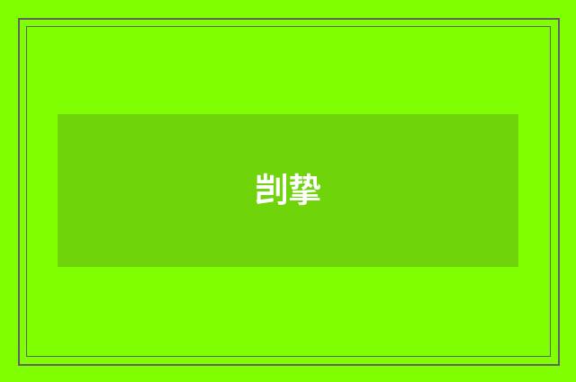 剀挚