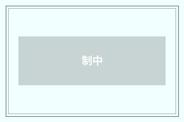 制中