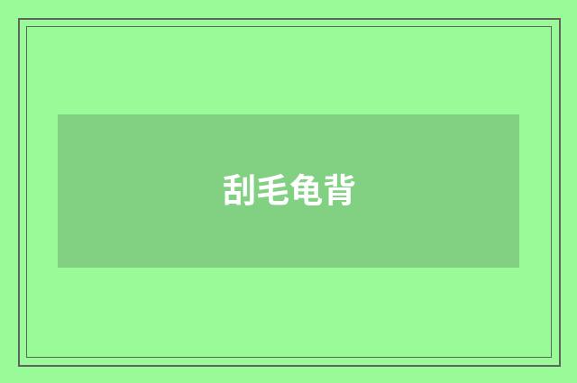刮毛龟背