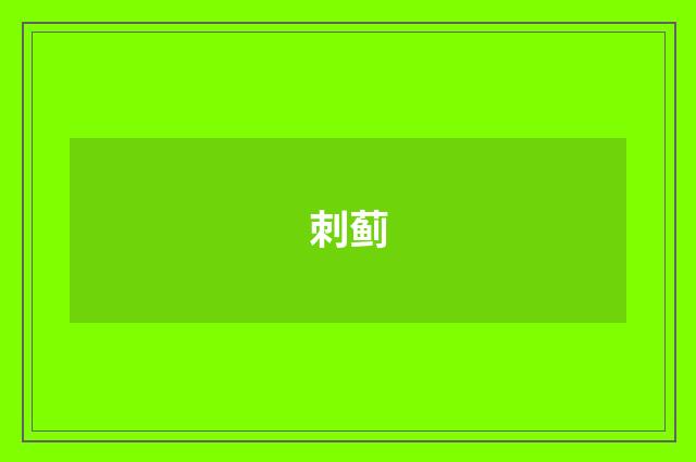 刺蓟