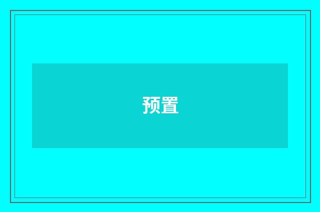 预置