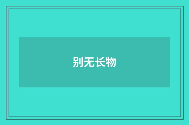 别无长物