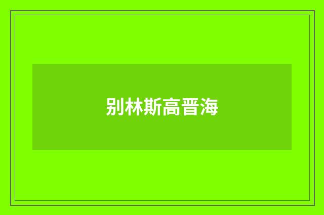 别林斯高晋海