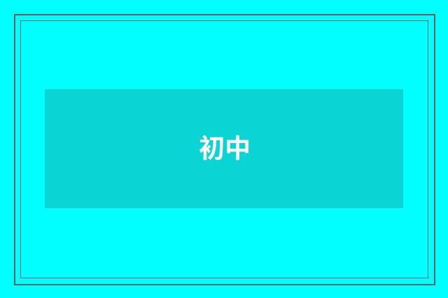 初中