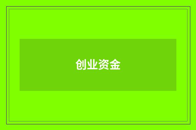 创业资金