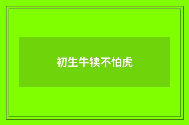 初生牛犊不怕虎