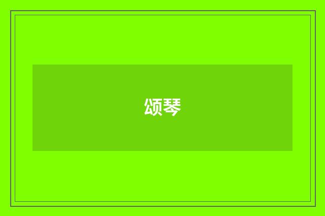 颂琴