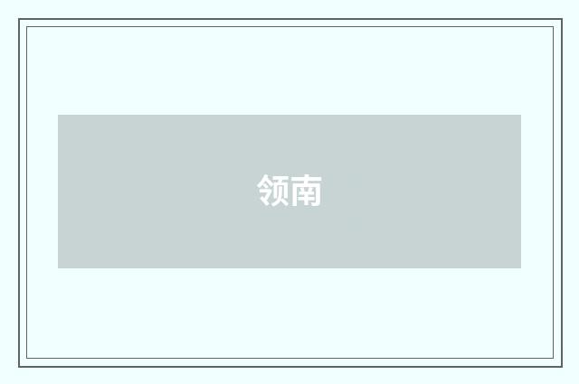领南