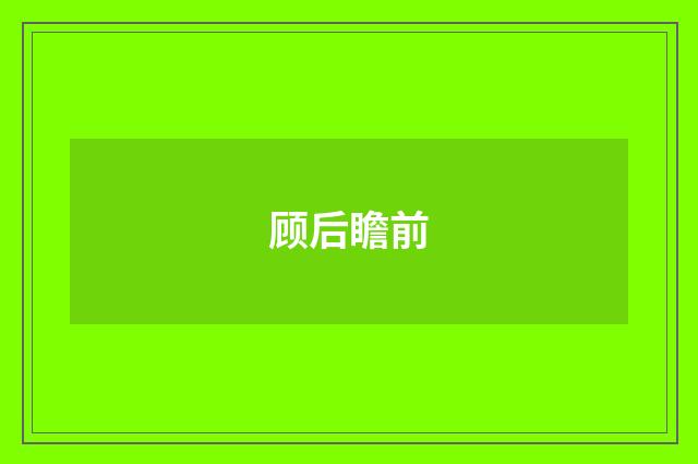 顾后瞻前