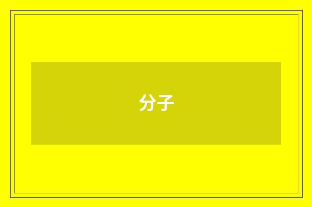 分子