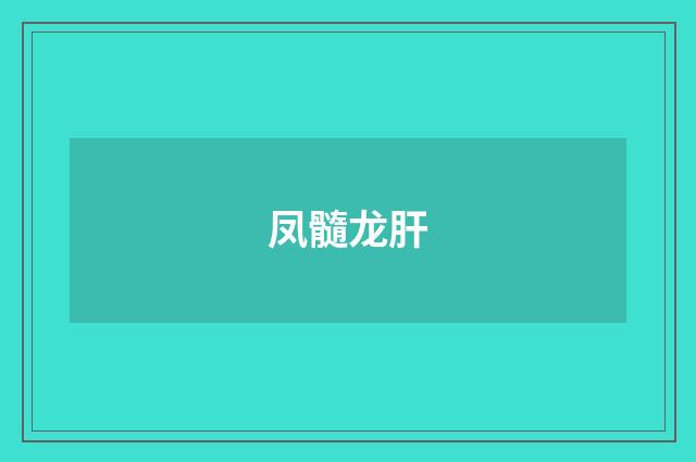凤髓龙肝