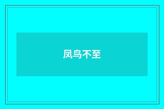 凤鸟不至