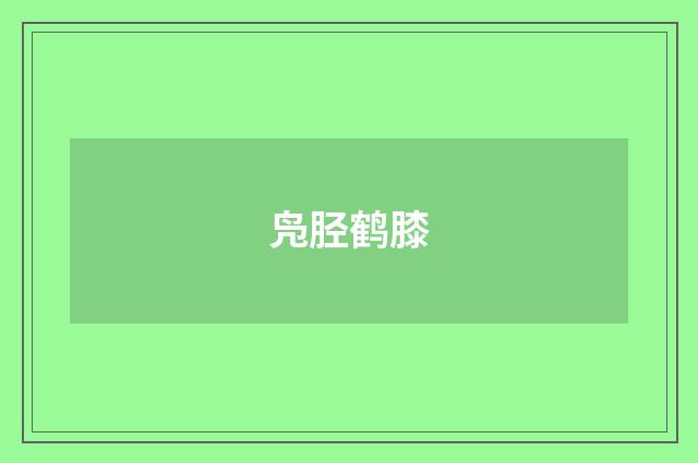 凫胫鹤膝