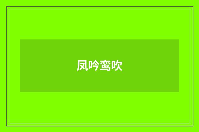 凤吟鸾吹