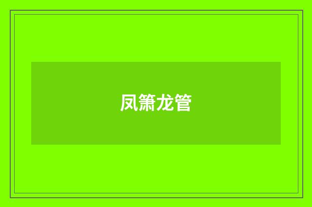 凤箫龙管