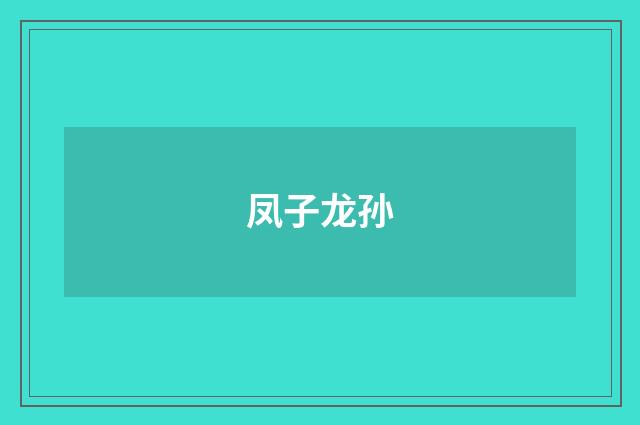 凤子龙孙