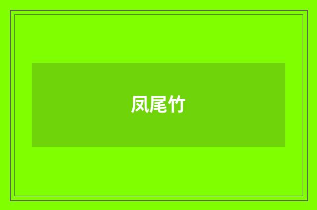 凤尾竹
