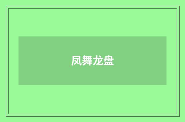 凤舞龙盘
