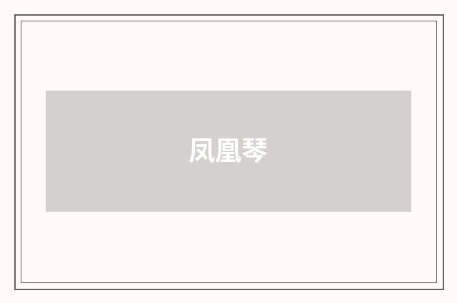 凤凰琴