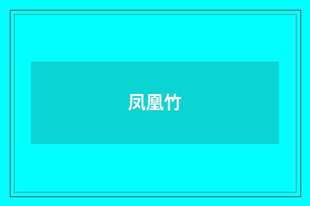 凤凰竹