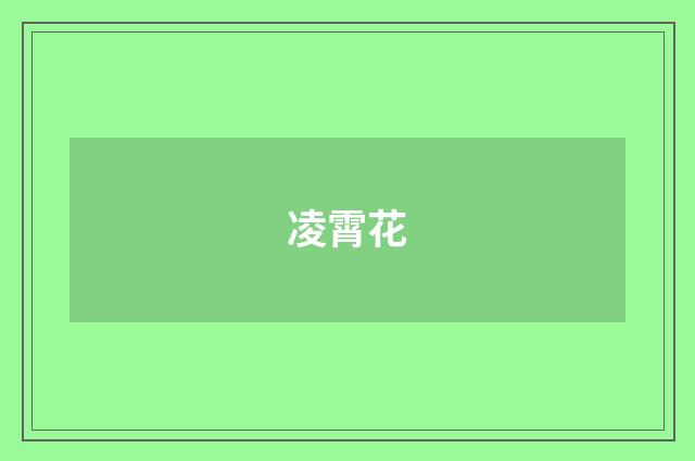 凌霄花