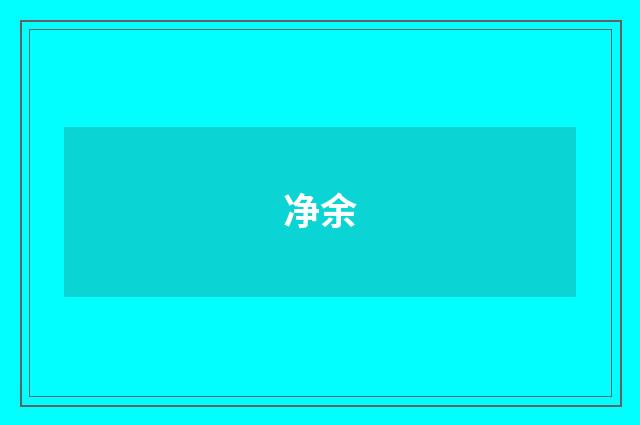 净余