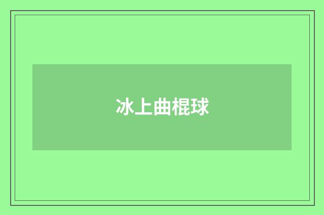 冰上曲棍球